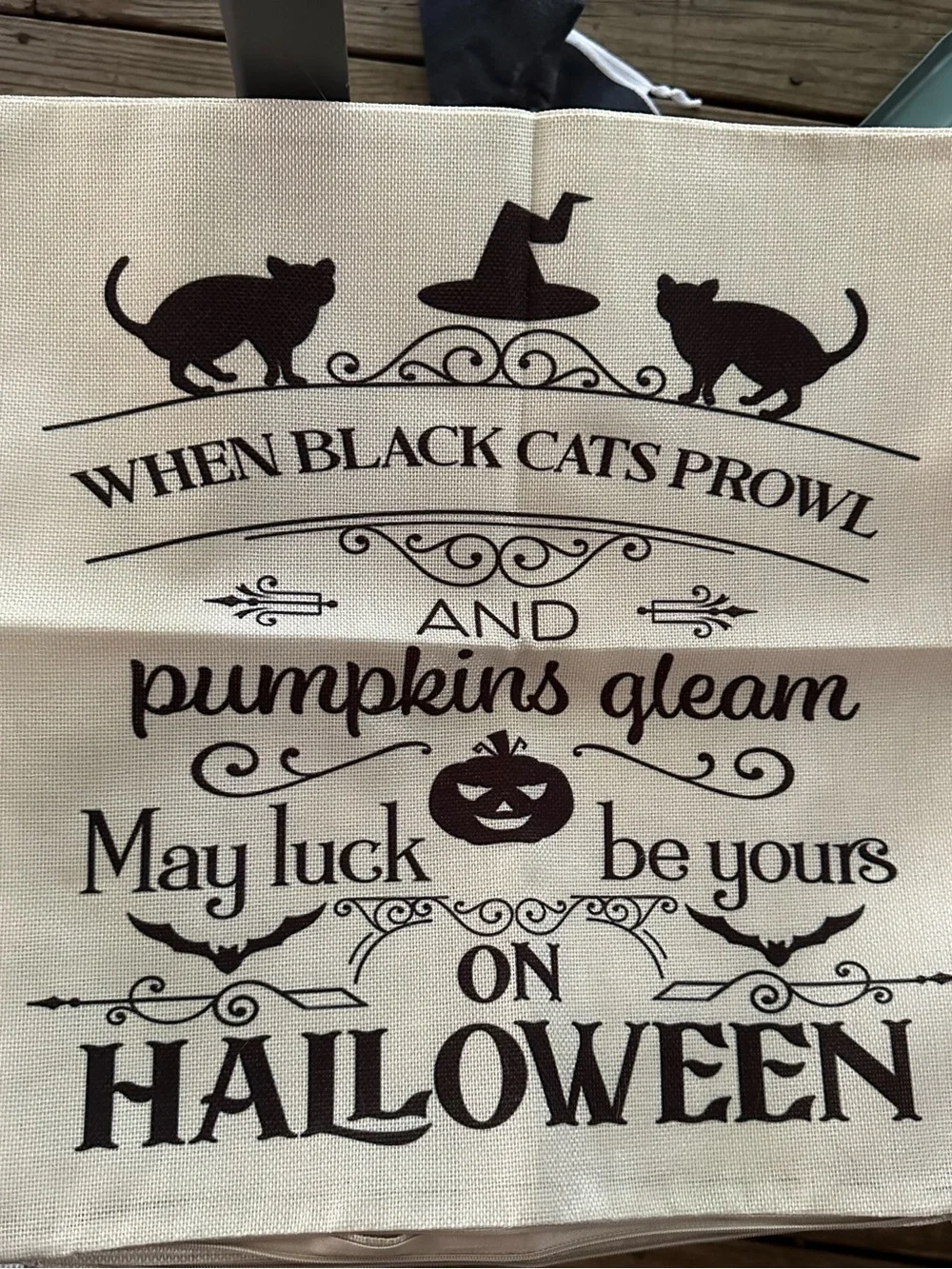 2 pack 18x18 inch Halloween throw pillow COVERS (only). Rustic canvas style